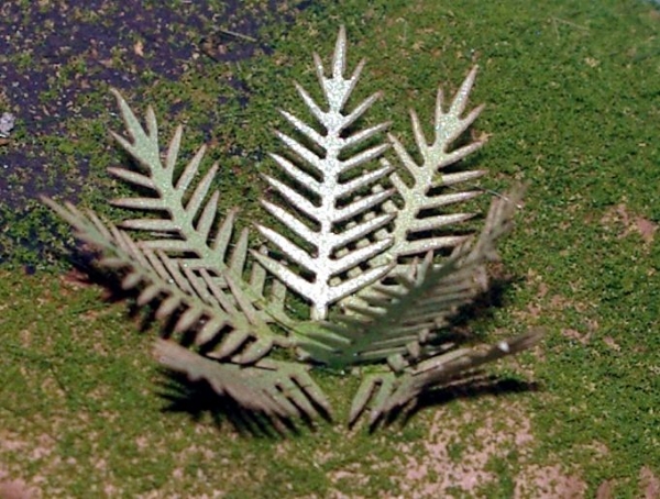 Picture of HO Scale - Laser Cut Plants - Cycad