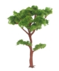Picture of Tree Trunk 6 - 140mm