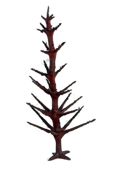 Picture of Tree Trunk - 8 - 120mm