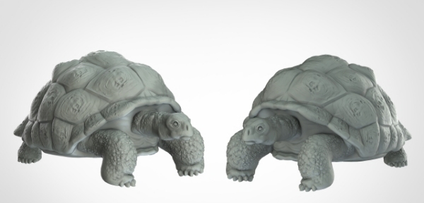 Picture of 1:72 Scale - Giant Tortoise (2 Pack)