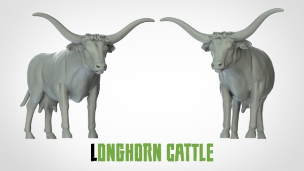 Picture of Longhorn Cattle (Suitable for 32mm Scale)