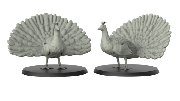 Picture of Peacock (2 Pack)