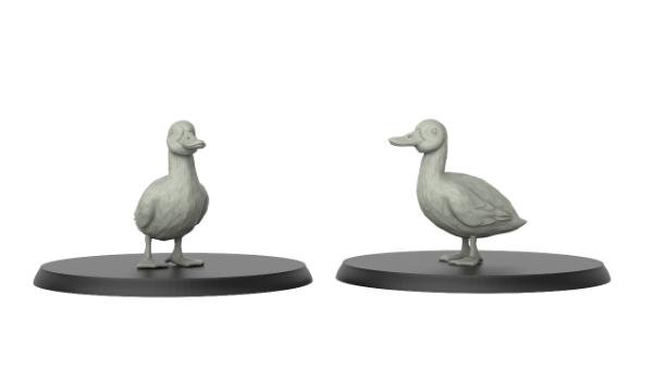 Picture of Duck(2 Pack)