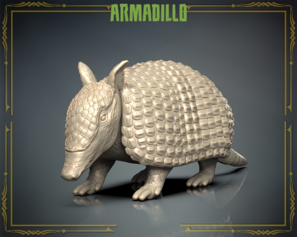 Picture of Animals Set 3 - Armadillo