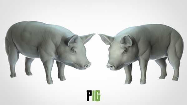 Picture of Pig (Suitable for 32mm Scale)