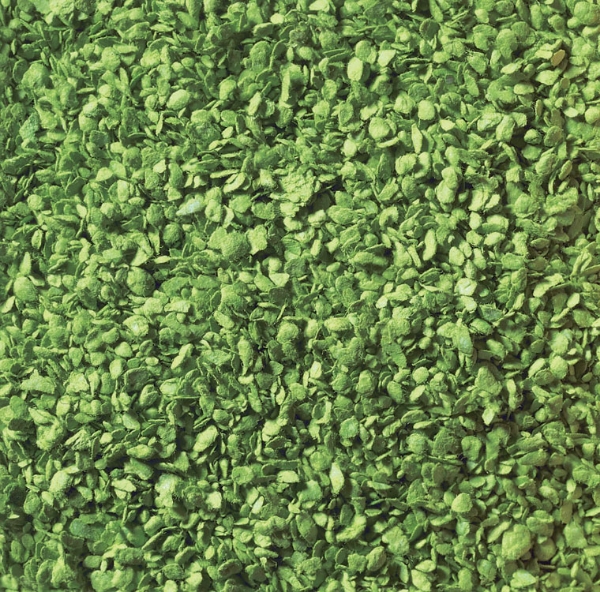 Picture of Leaves Ground Cover - Medium Green