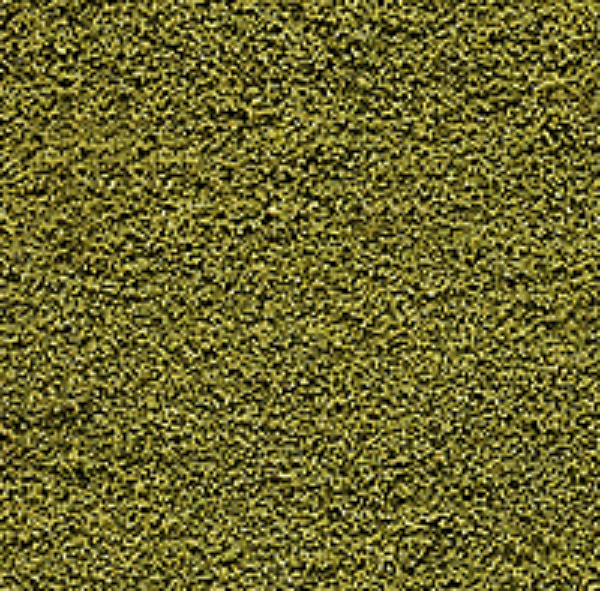 Picture of Olive Green Underbrush