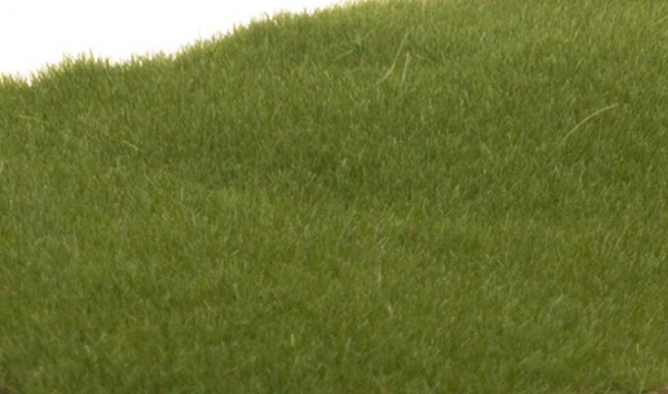 Picture of 2mm Static Grass - Dark Green