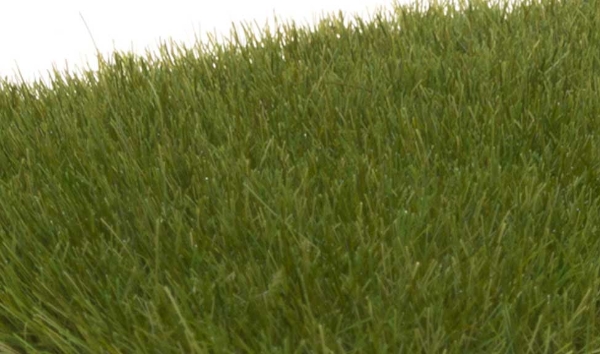 Picture of Static Grass - 7mm - Dark Green