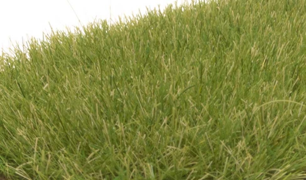 Picture of Static Grass - 7mm - Medium Green