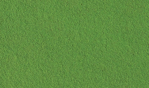 Picture of Fine Turf - Green Grass