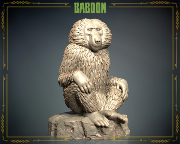 Picture of Animals Set 3 - Baboon