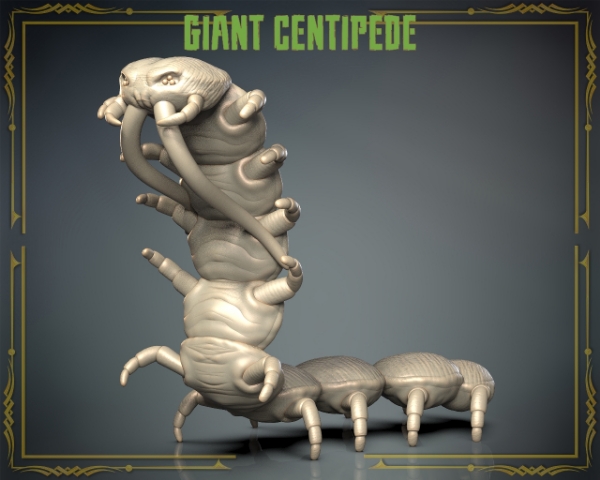 Picture of Animals Set 3 - Giant Centipede