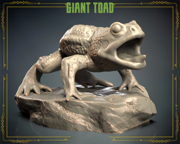 Picture of Animals Set 3 - Giant Toad