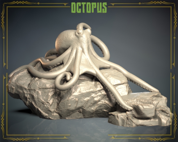 Picture of Animals Set 3 - Octopus