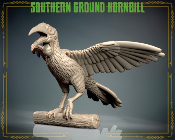 Picture of Animals Set 3 - Southern Ground Hornbill
