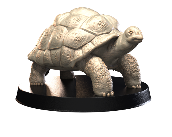 Picture of Animals Set 4 - 1/72 Scale - Tortoise V1 (5 Pack)